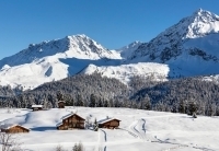Arosa en milieu de terrain - Etude immobilière stations alpines Suisse
